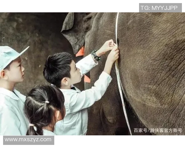 田亮的故乡揭秘 他到底是哪里人从家乡到足球场的传奇故事