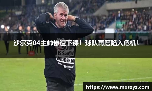 完美体育app