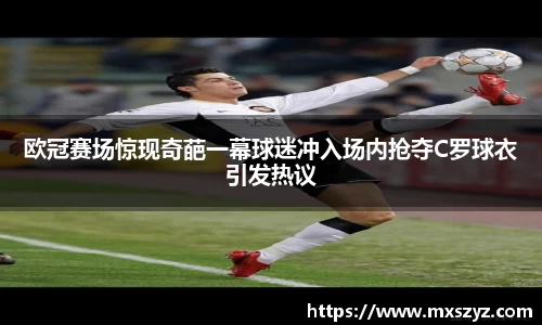 完美体育官网